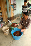 Indonesian-Sumatra 1lb Whole Bean- Natural Processed